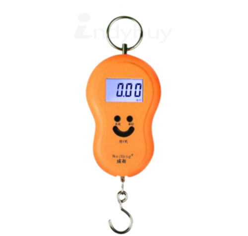 45Kg Digital Kitchen Weighing Scale / Luggage Hanging Weight Scale + Temperature